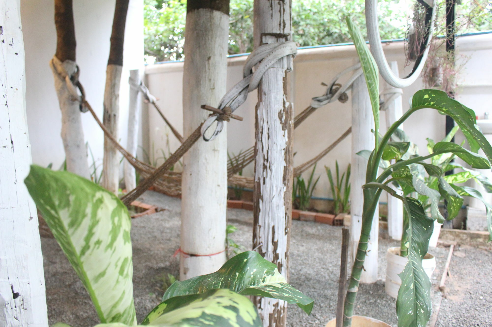 Eco-Home Siem Reap Homestay Exterior photo